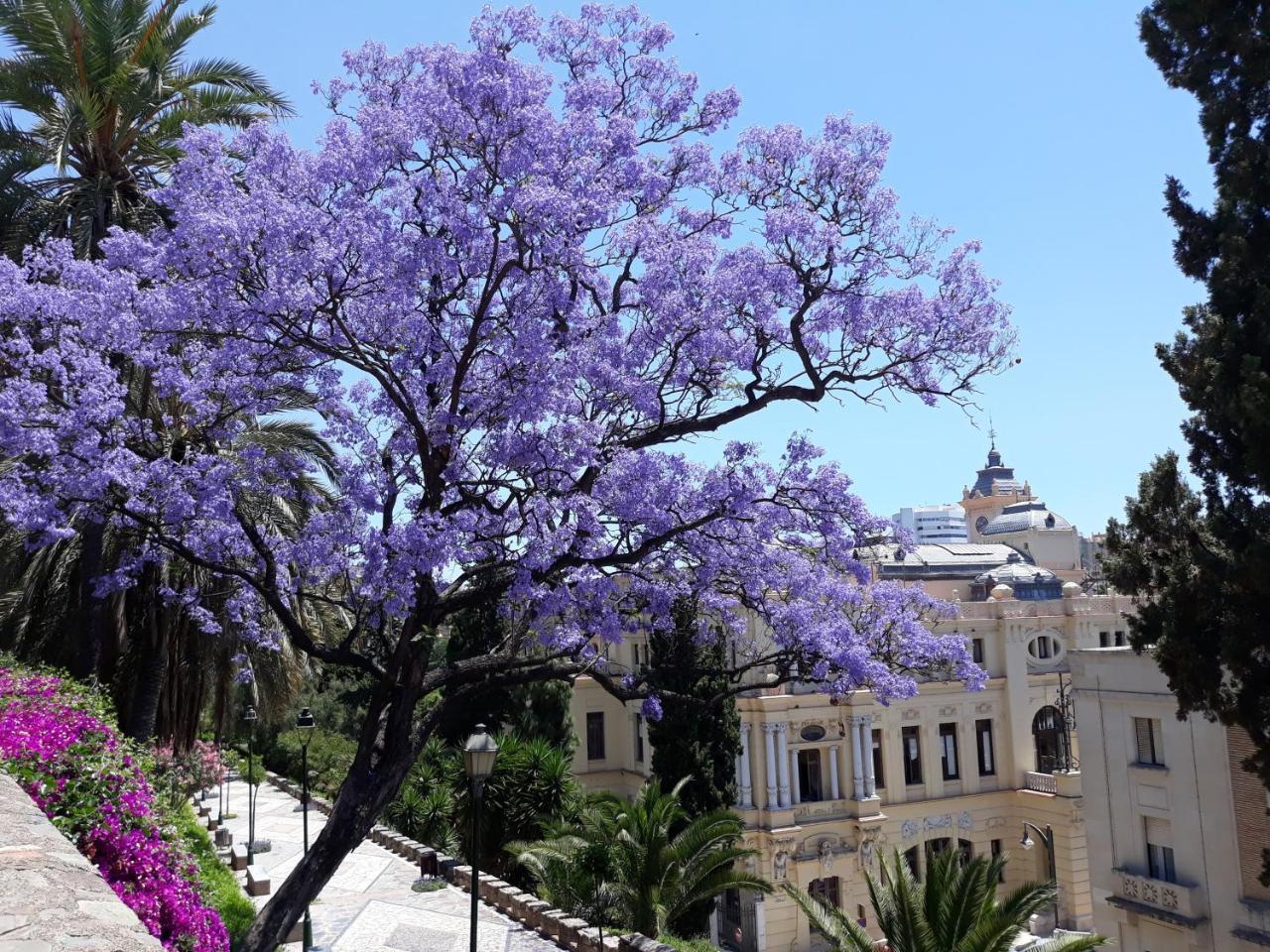 Stay Home & Away In The Heart Of Historical Town Of Málaga Exterior foto